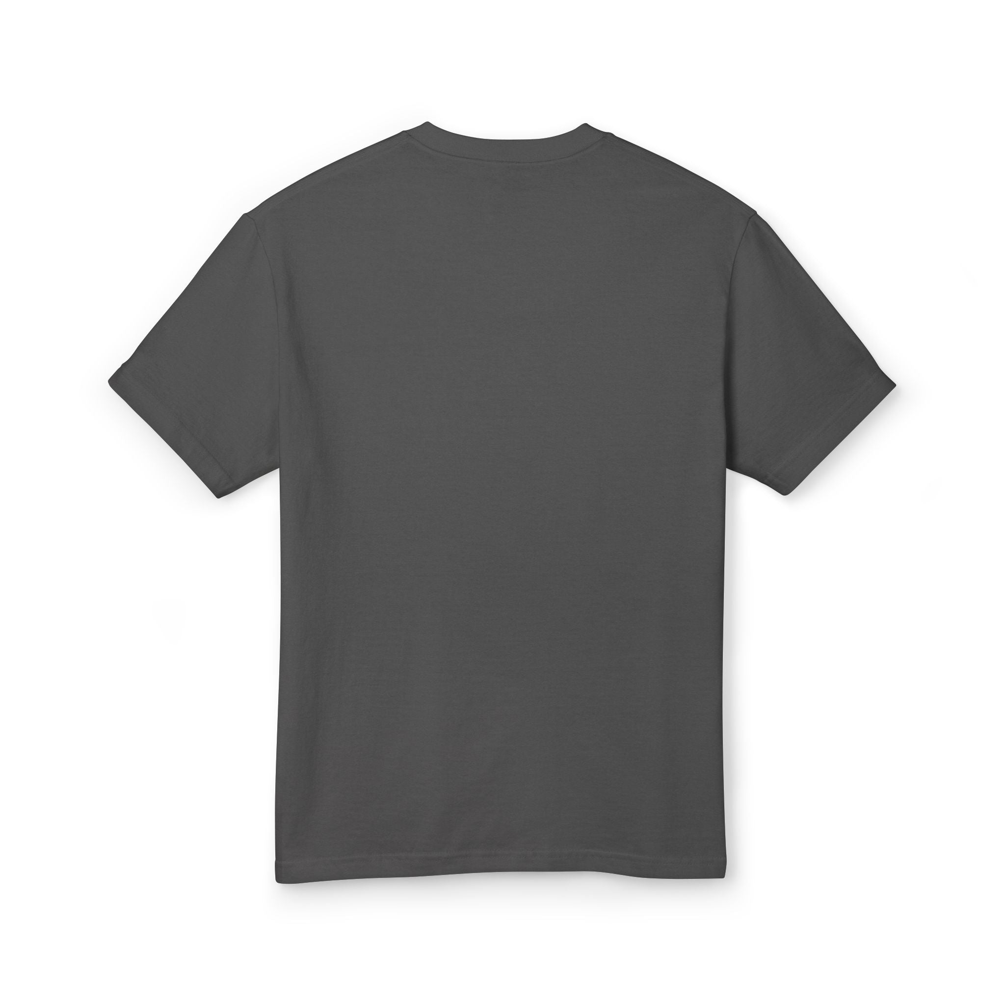 NewryB$ "Heist Chronicles" / Unisex Garment-Dyed Heavyweight Cotton Tee
