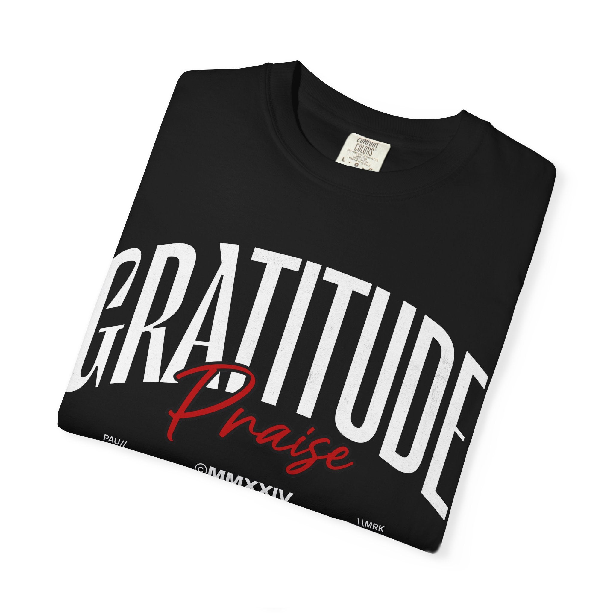 Gratitude Praise T-Shirt — Inspirational Faith Graphic Tee