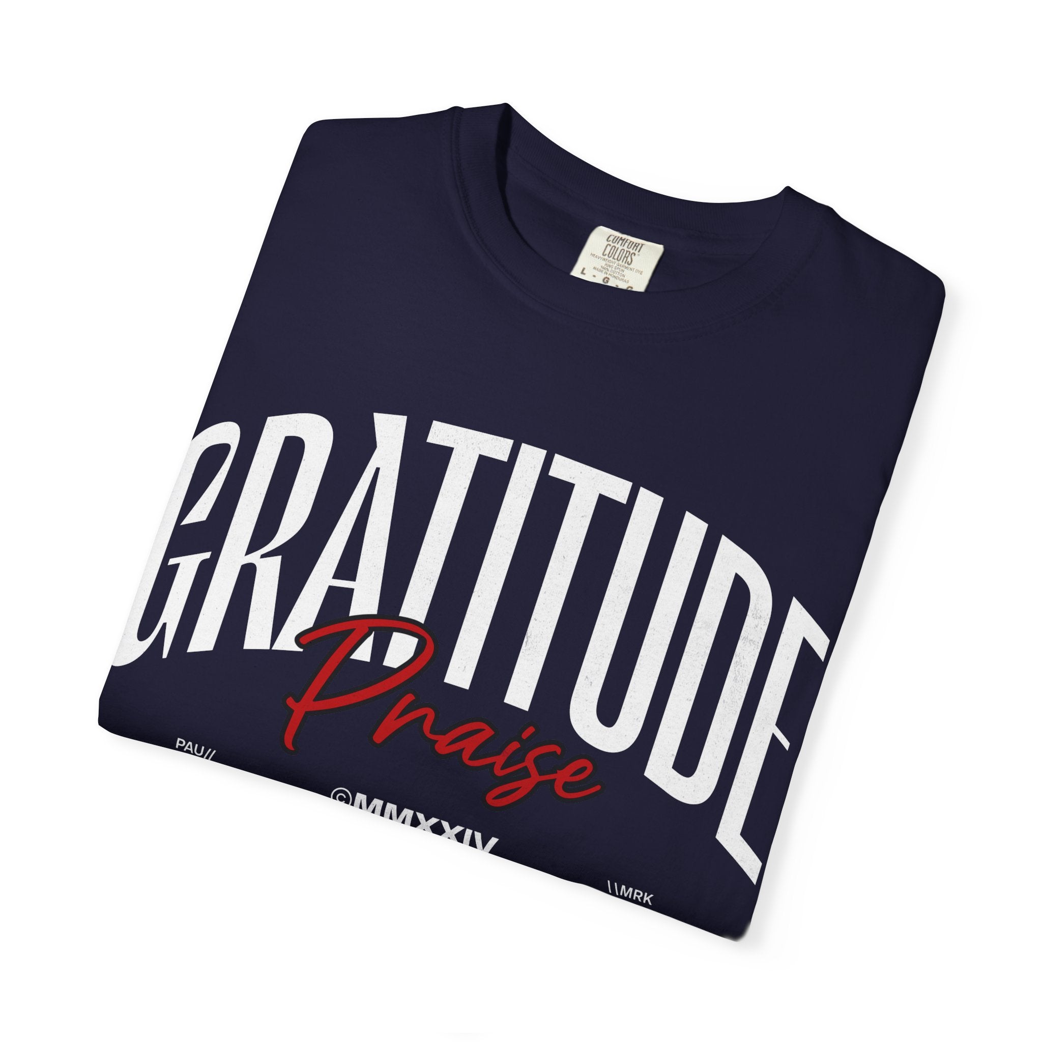 Gratitude Praise T-Shirt — Inspirational Faith Graphic Tee